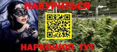 стафф Новодвинск