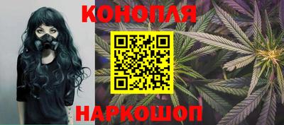 гидропоника Новокубанск