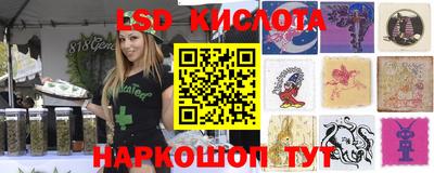 гидропоника Новокубанск