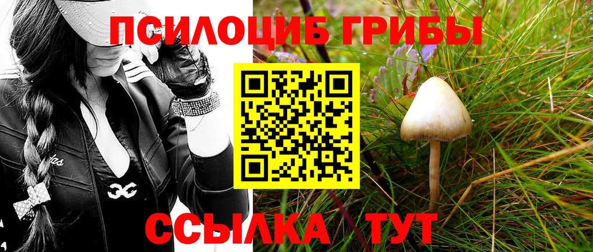 Псилоцибиновые грибы GOLDEN TEACHER Якутск