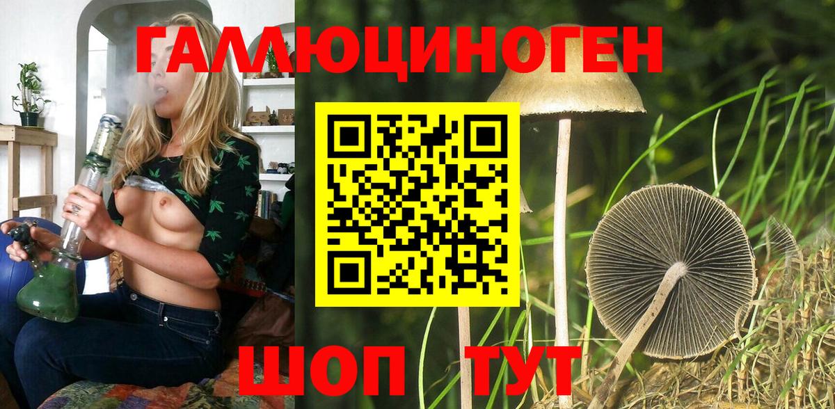 Галлюциногенные грибы GOLDEN TEACHER  Вход с VPN  Якутск 